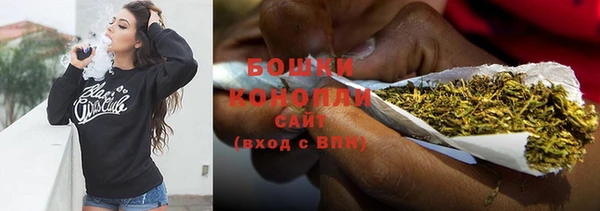 прущие крисы Карпинск