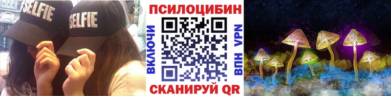 Купить где  Болгар  Галлюциногенные грибы MAGIC MUSHROOMS 